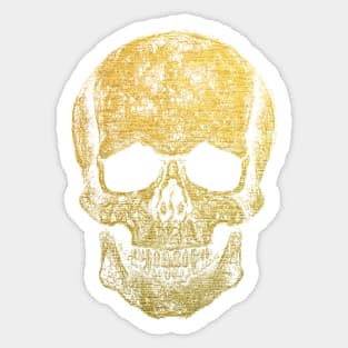 Cool skull, gold skull mask face Sticker